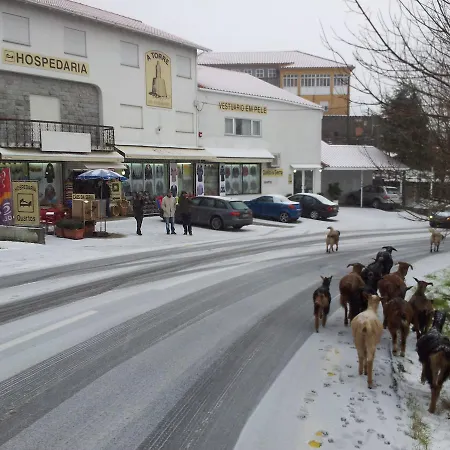 A Torre No * Sabugueiro (Guarda)