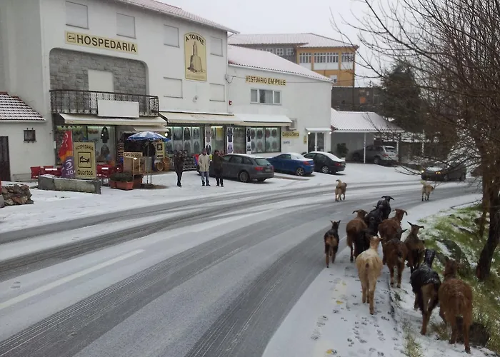 A Torre No * Sabugueiro (Guarda)